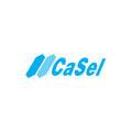 Casel İlaç Sanayi Tic. Ltd. Şti.