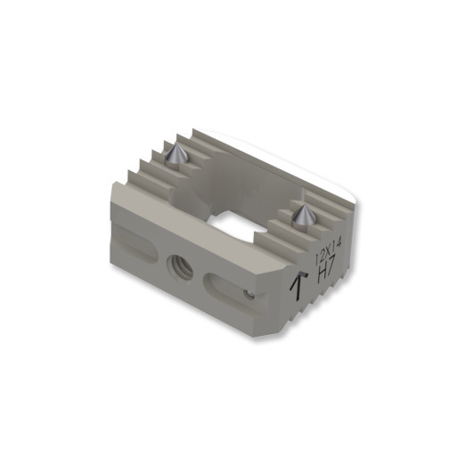 BIA CERVICAL PEEK CAGE