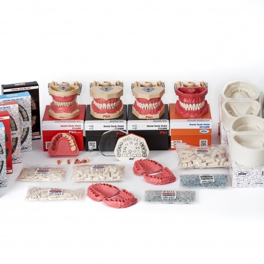 DENTAL STUDY MODELS