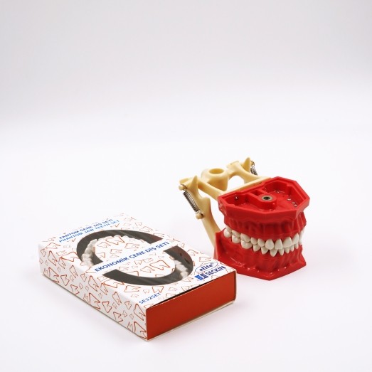 Economical Phantom Jaw