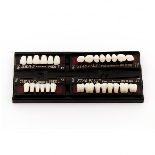 FSM DENTAL SEFA Crosslinked Acrylic Teeth