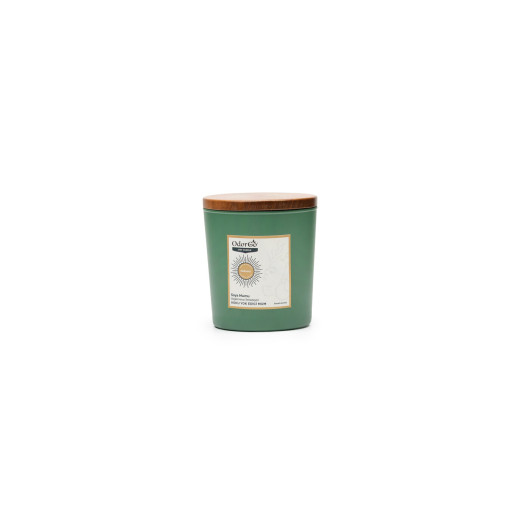 ODORGO Odor Eliminating Soy Candle 230 g