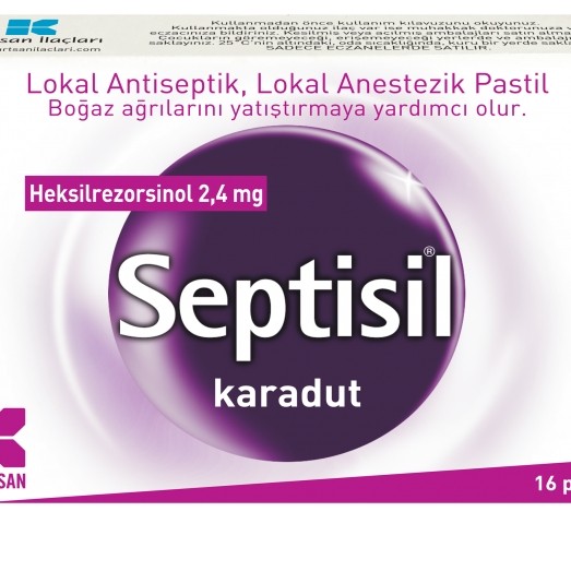 Septisil Karadut Pastil